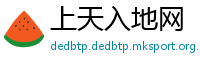 上天入地网